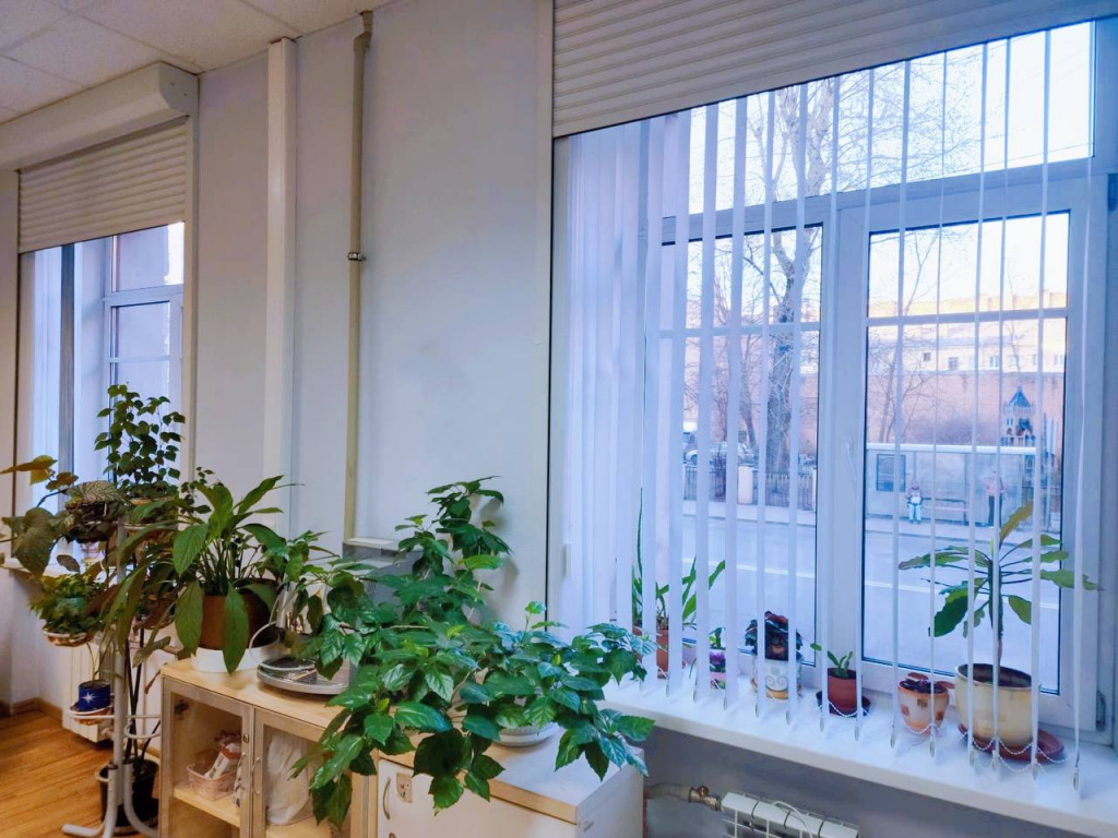 День чистоты.jpg День чистоты.jpg