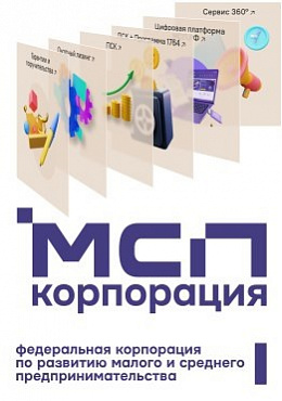 МСП_2024